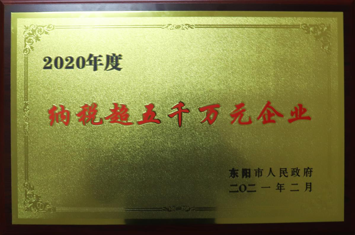 浙江新東陽建設集團有限公司